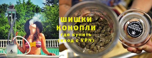 ПСИЛОЦИБИНОВЫЕ ГРИБЫ Белоозёрский