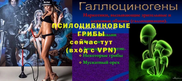 mdpv Богородск