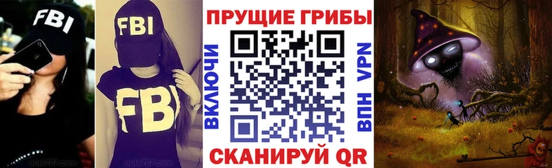 купить наркоту Облучье Псилоцибиновые грибы мицелий
